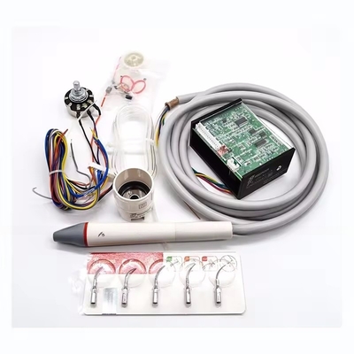 جهاز تنظيف الأسنان بالموجات فوق الصوتية من خشب النقار LED N2، جاهز للشحن