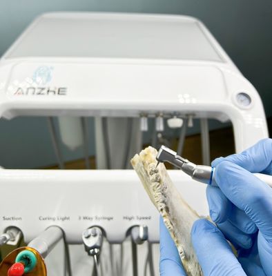 مصنع الأسنان معدات علاج أسنان الحيوانات الأليفة مع ضاغط الهواء 220 فولت وحدات الأسنان المحمولة القياسية للاتحاد الأوروبي
