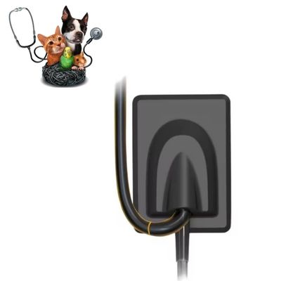 سعر جيد معدات طب الأسنان البيطرية نظام التصوير بالأشعة السينية الرقمية للأسنان الأليفة مستشعر الأشعة السينية RVG الانترنت