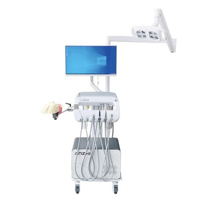 سعر جيد حل لتدريب طلاب طب الأسنان معدات مدرسة طب الأسنان طب الأسنان الرأس الوهمي محاكي أسنان للتدريب الانترنت