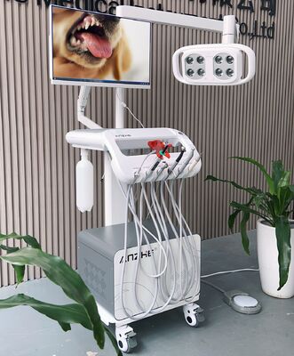 All-in-One Pet Dental Treatment Machine Mobile Veterinary Dental Unit with LED Lamp PC Mobile Vet Dental Cart for Dog Oral Care
