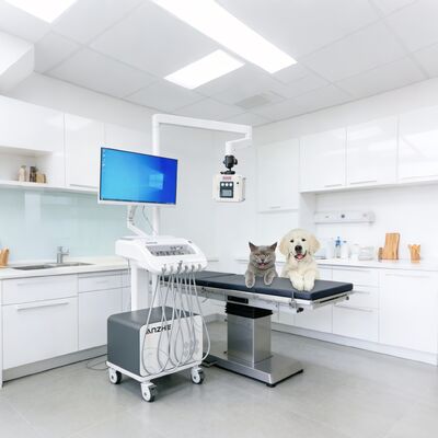 سعر جيد وحدة علاج الأسنان المحمولة مع بنيت في الأشعة السينية و الكمبيوتر العربة الأسنان المتنقلة مع ضاغط الهواء نظام الشفط وحدة تسليم الأسنان للاستخدام في العيادة والتوعية الانترنت