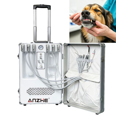 Portable Pet Dental Treatment Unit with 550W Power and 0.8Mpa Pressure for Veterinary Dental Care
