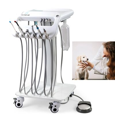 سعر جيد آلة طب الأسنان البيطرية المحمولة مع 550W قوة 10L خزان الهواء المقاوم للصدأ ومستوى الضوضاء 38DB لعلاج الأسنان المحمول الانترنت