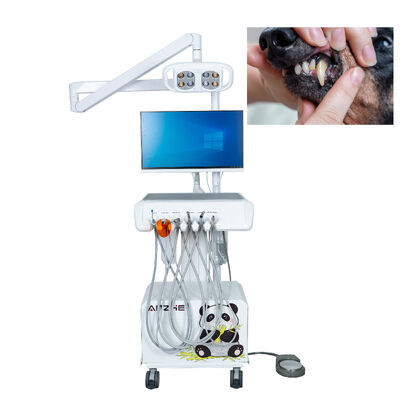 محطة عمل طب الأسنان البيطرية مع كاميرا HD داخل الفم ضوء الفحص LED ونظام كمبيوتر مدمج لمستشفيات الحيوانات