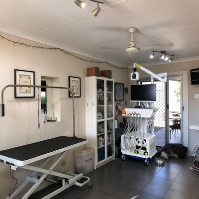 سعر جيد 550W محطة عمل طب الأسنان البيطرية مع 0.8Mpa الضغط و 58DB الضوضاء لعيادات طب الأسنان للحيوانات متصل